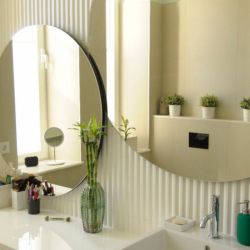 Baño con espejos circulares sobre pared cerámica y elementos decorativos de plantas